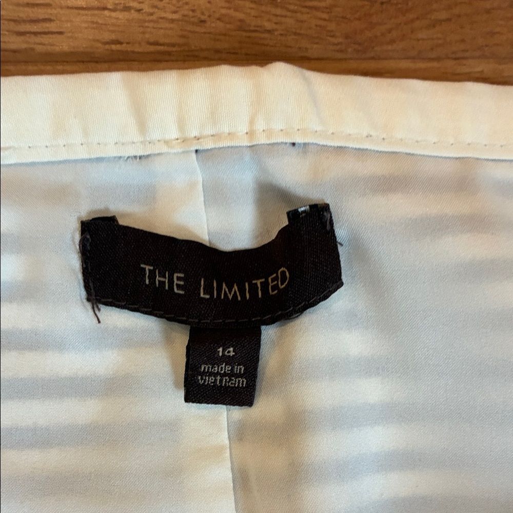 The Limited Striped Skirt in Blue and White - Picture 3 of 4